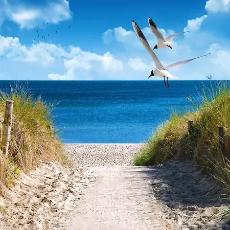 アパート Wellness-ferienhaus In Der Naehe Der Ostsee